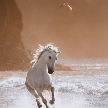 Plan Anual de Ciclos Personales según Astrología