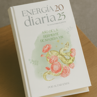 Energía Diaria 2025