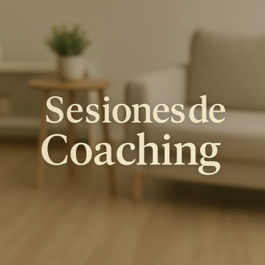 6 Sesiones de Coaching