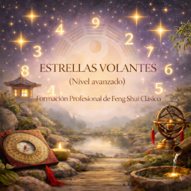 Nivel 4 Especializado - Estrellas Volantes